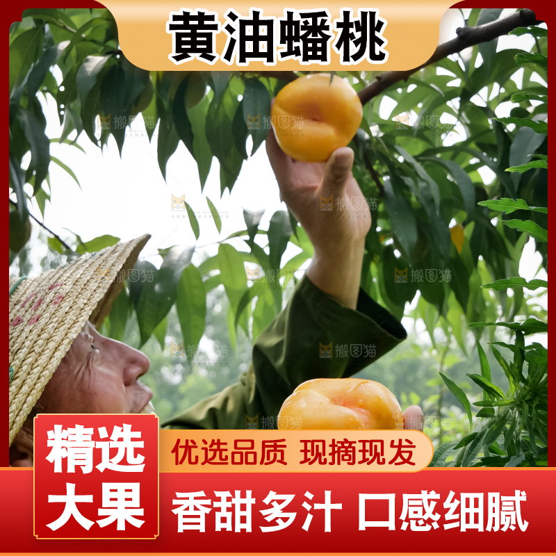 黄油蟠桃