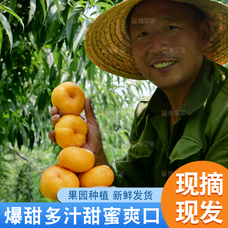 黄油蟠桃