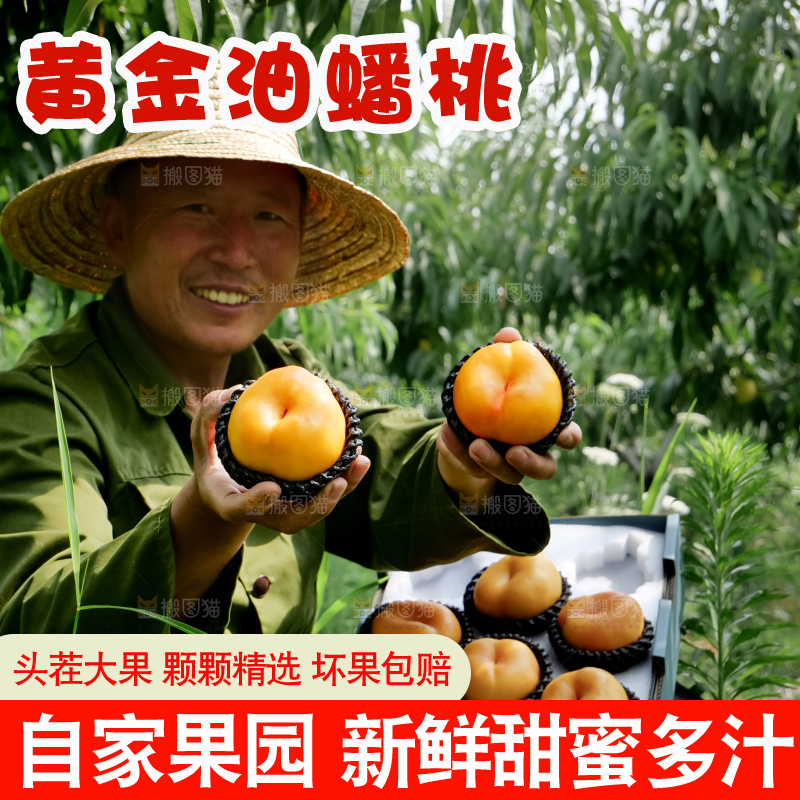 黄油蟠桃