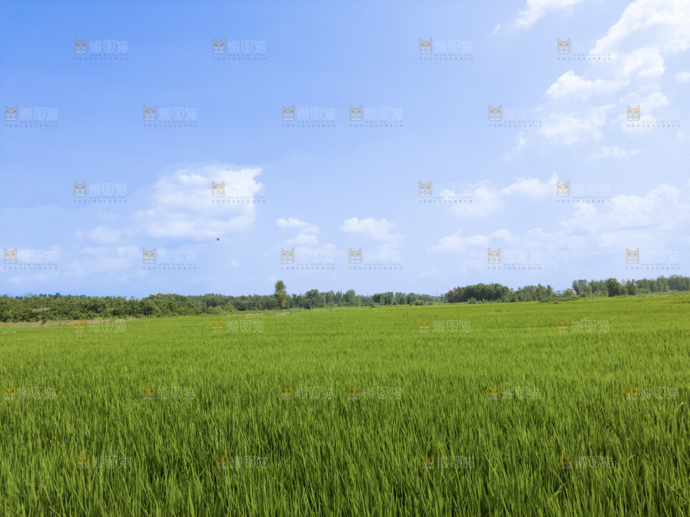 田园风光