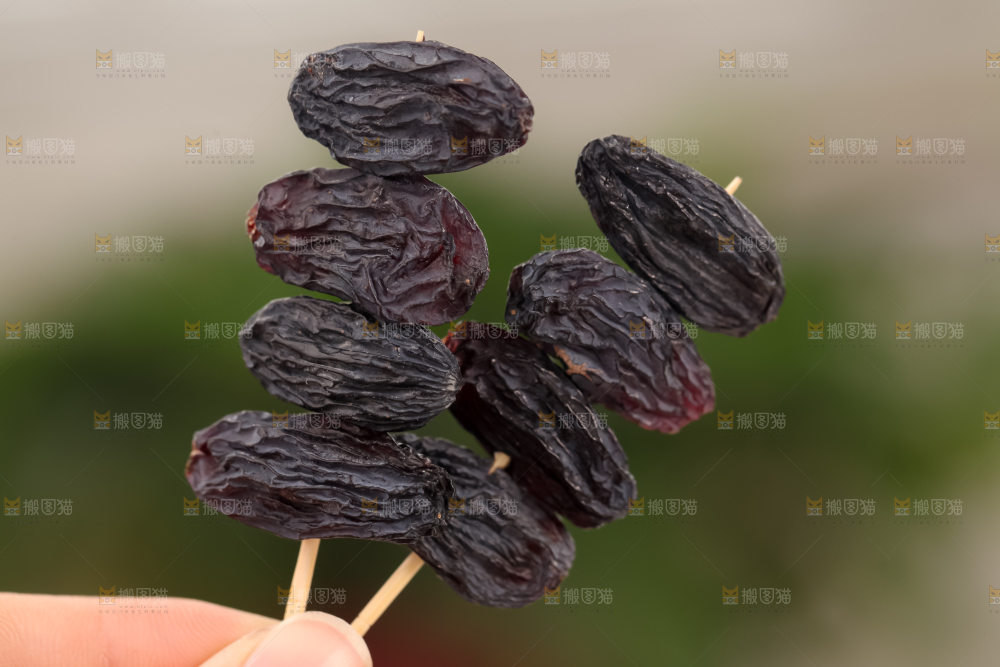 黑加仑葡萄干