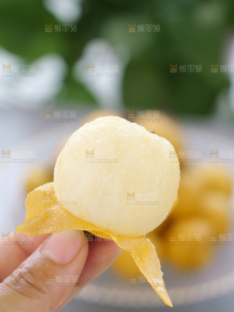 白玉枇杷