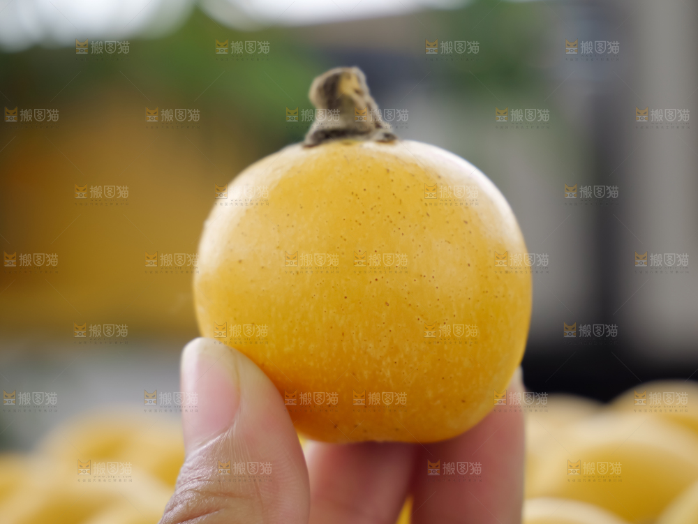白玉枇杷
