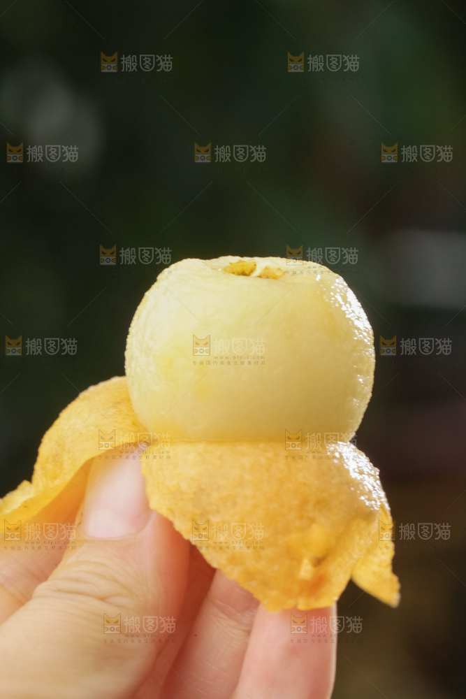白玉枇杷