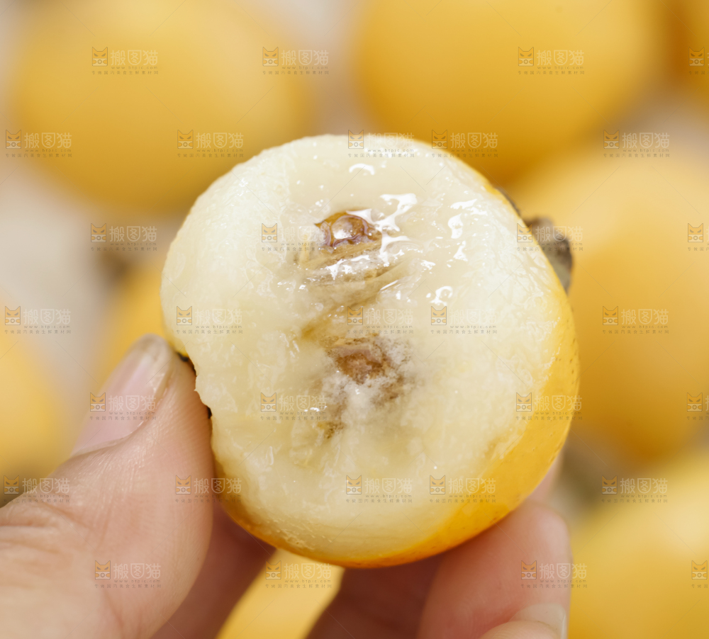 白玉枇杷