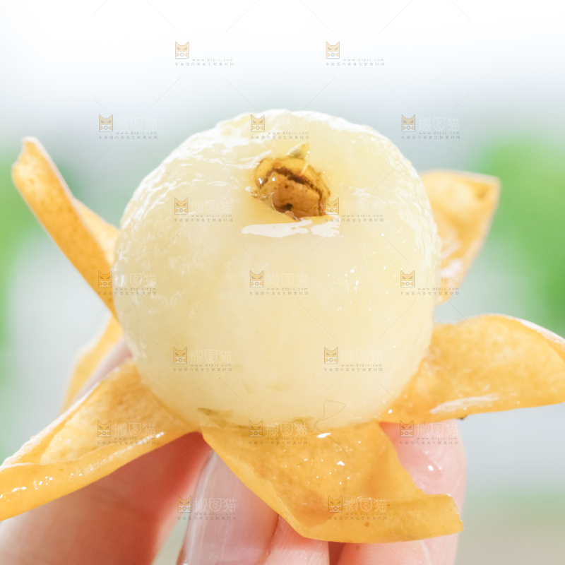 白玉枇杷