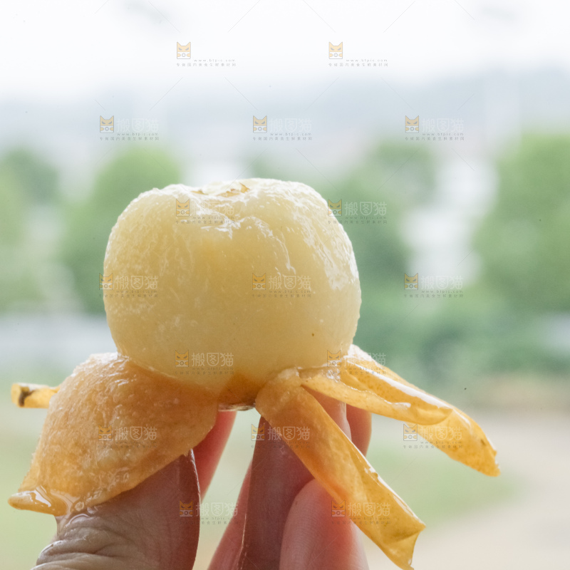 白玉枇杷