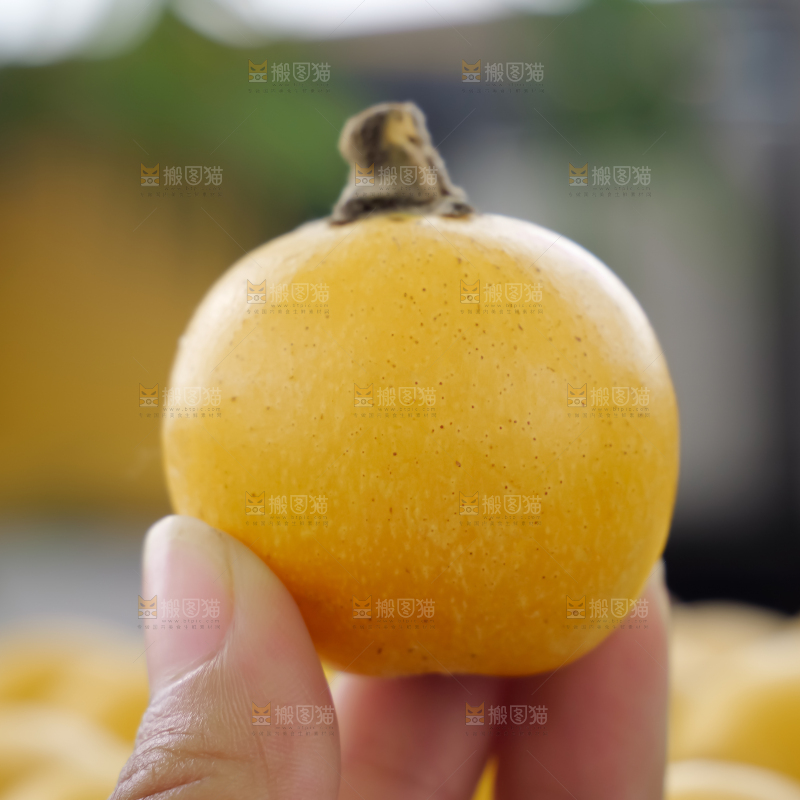 白玉枇杷