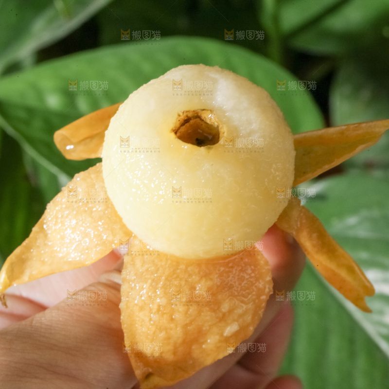 白玉枇杷