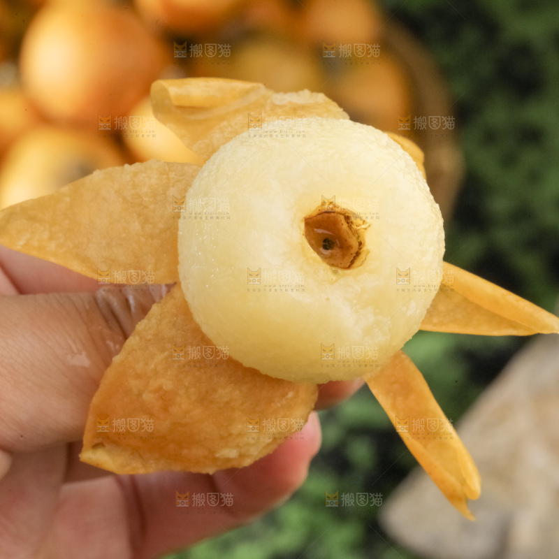 白玉枇杷