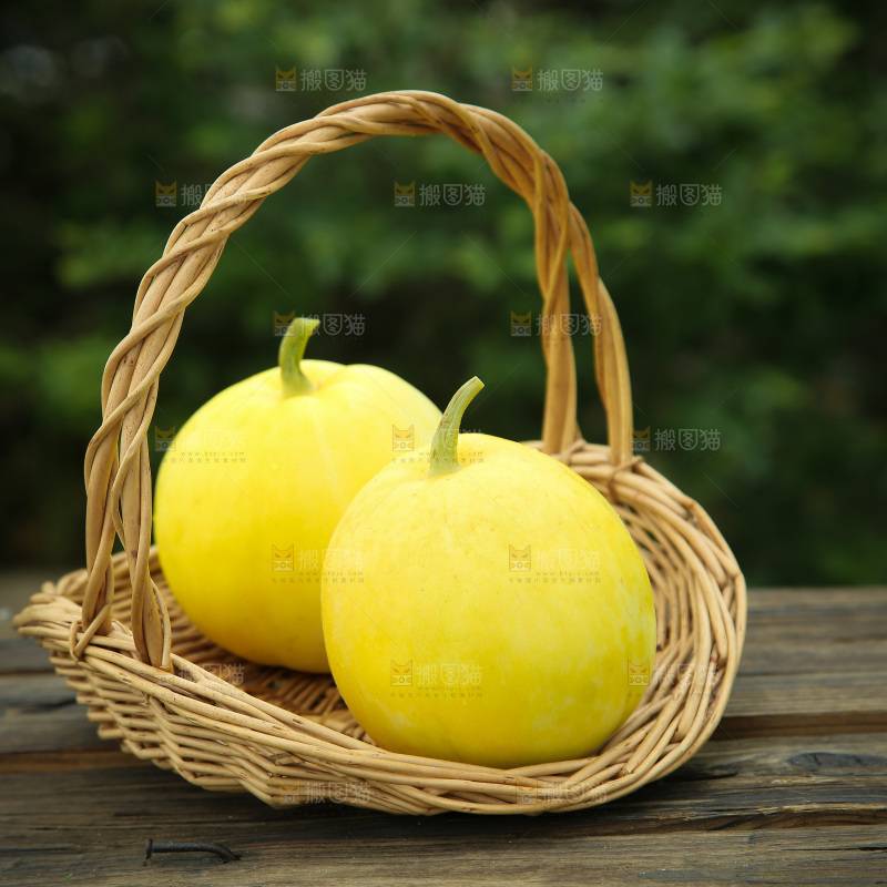 小蜜蜂甜瓜