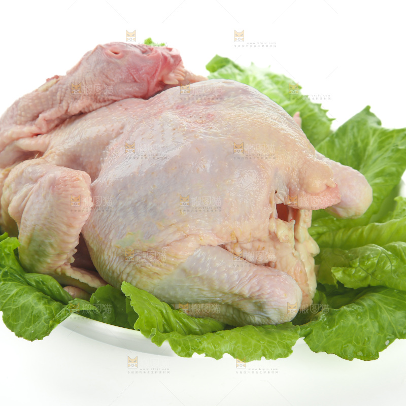 鸡肉
