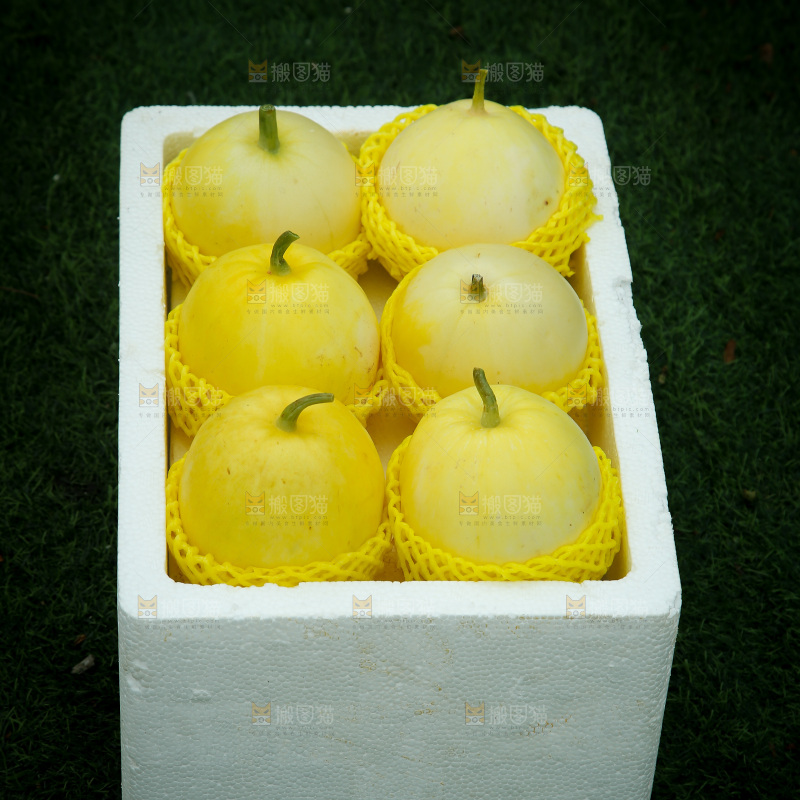 小蜜蜂甜瓜