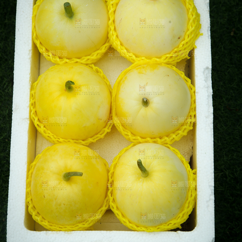 小蜜蜂甜瓜