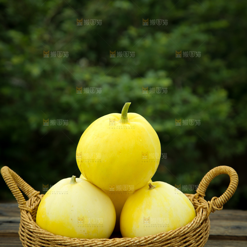 小蜜蜂甜瓜