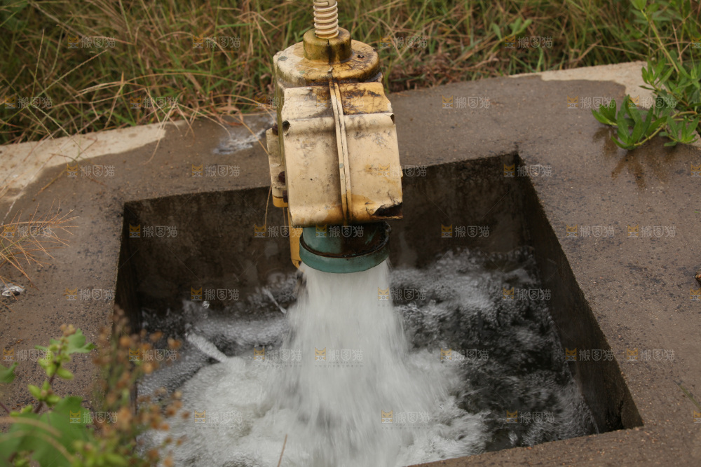 水泵