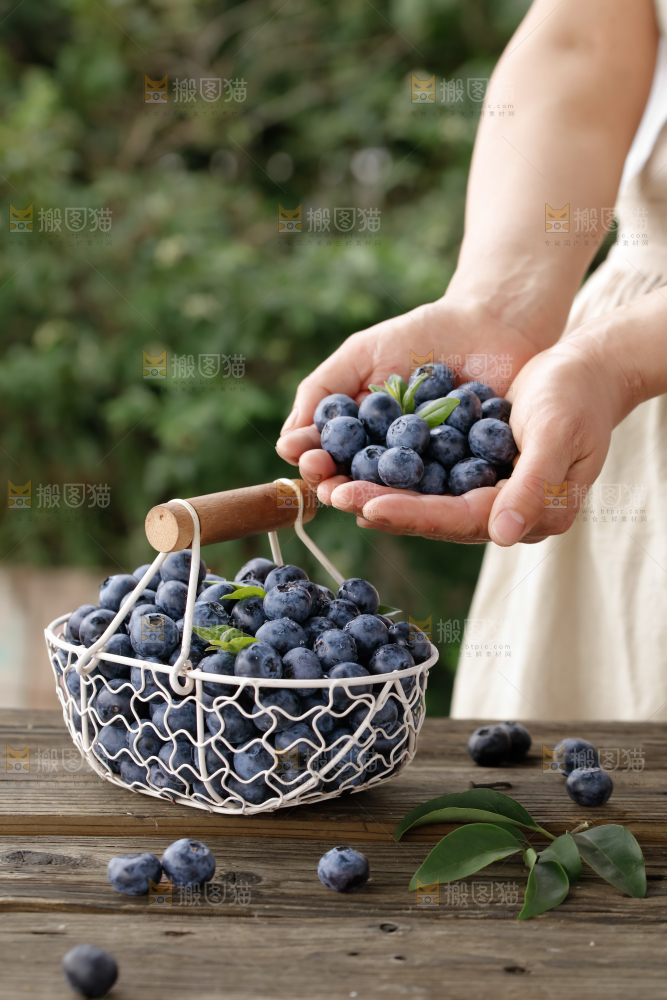 蓝莓