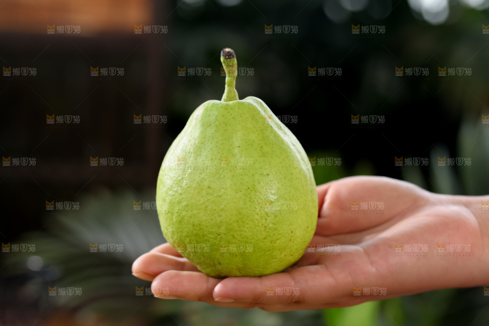 库尔勒香梨