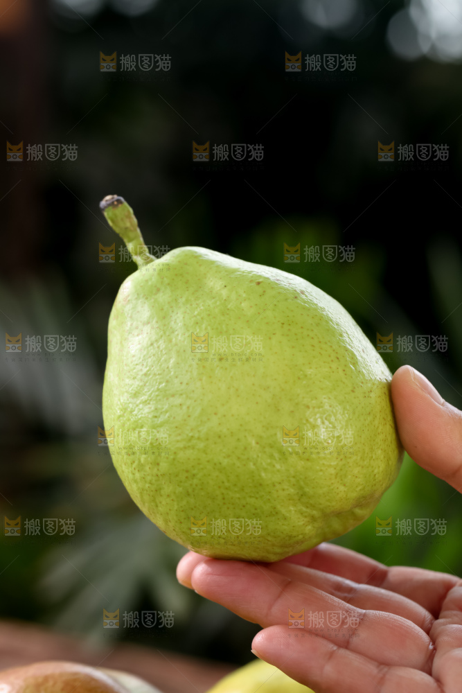 库尔勒香梨