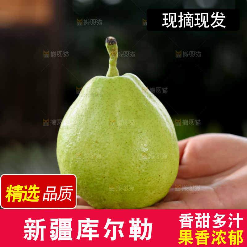 库尔勒香梨