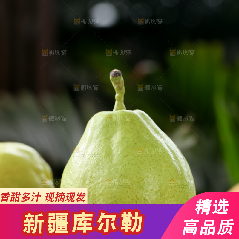 库尔勒香梨