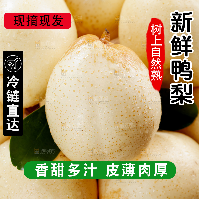 鸭梨