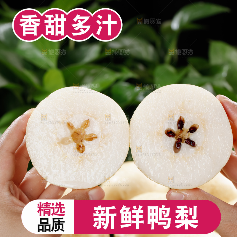 鸭梨