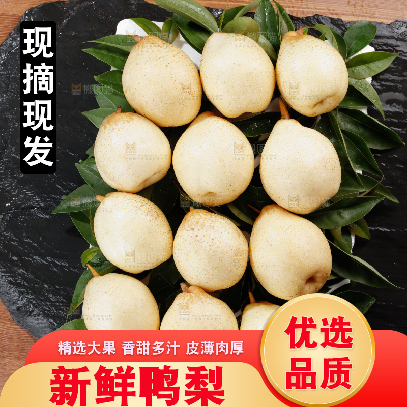 鸭梨