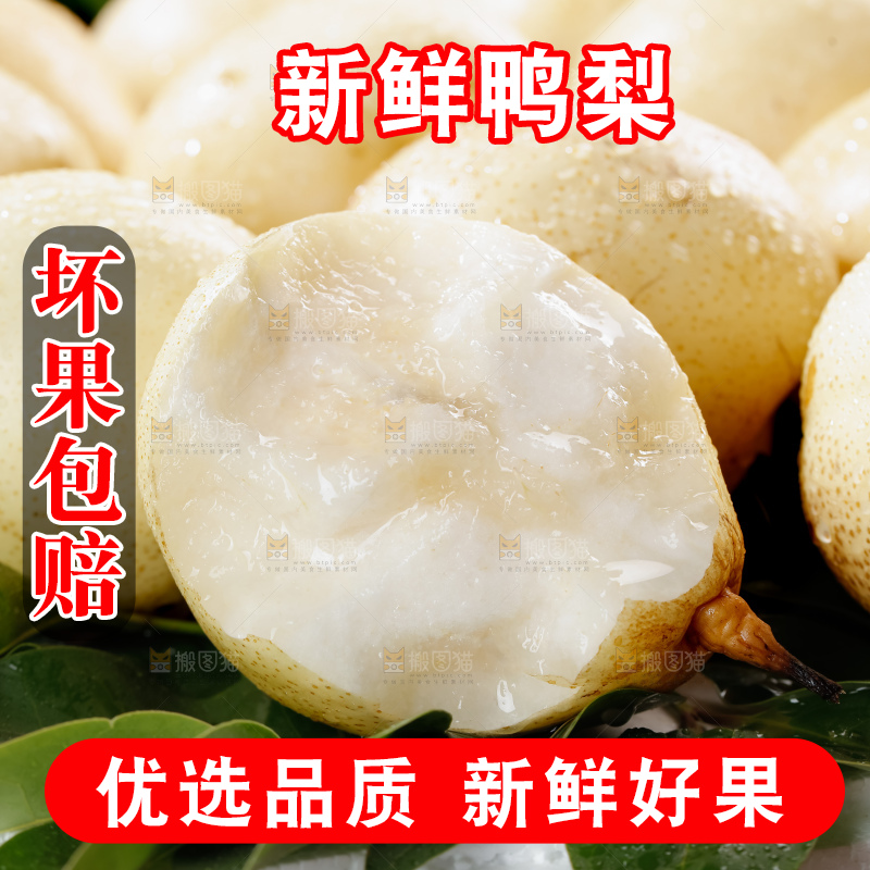 鸭梨