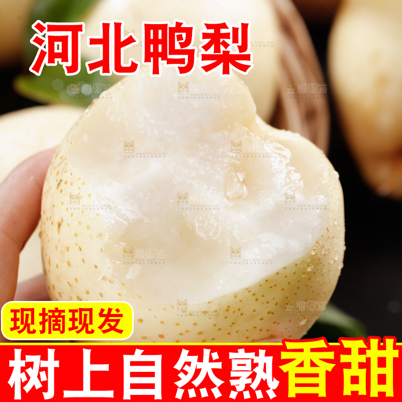 鸭梨