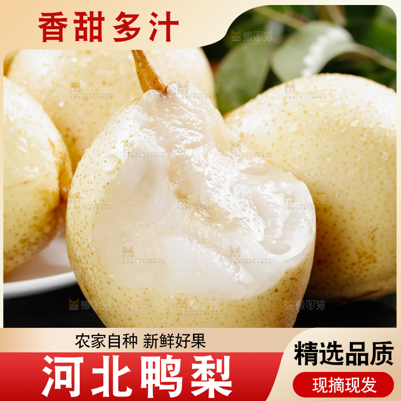 鸭梨