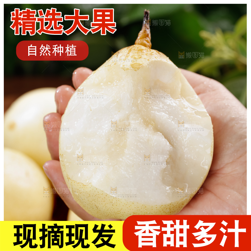 鸭梨