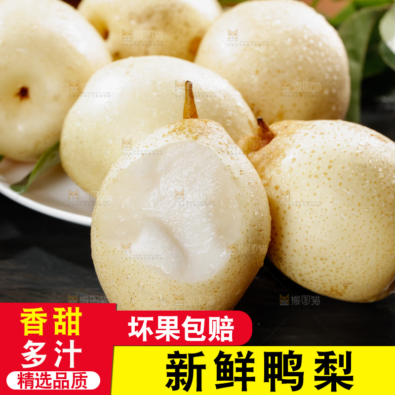 鸭梨