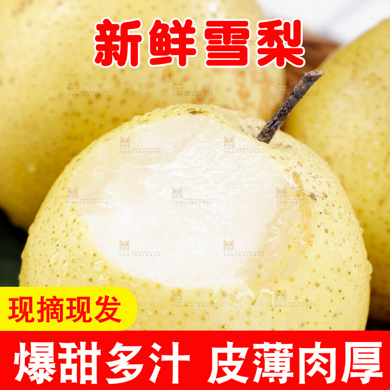 雪梨