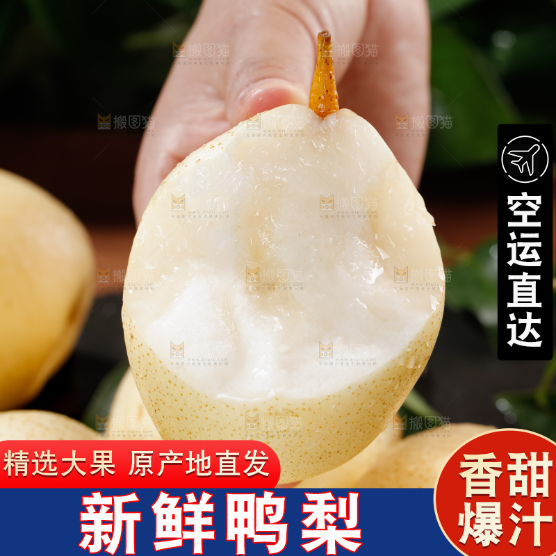 鸭梨