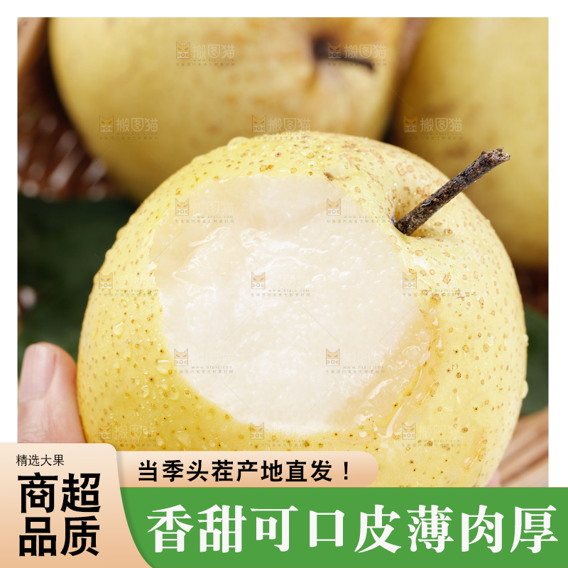 雪梨