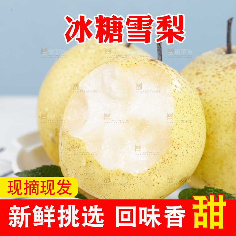 雪梨