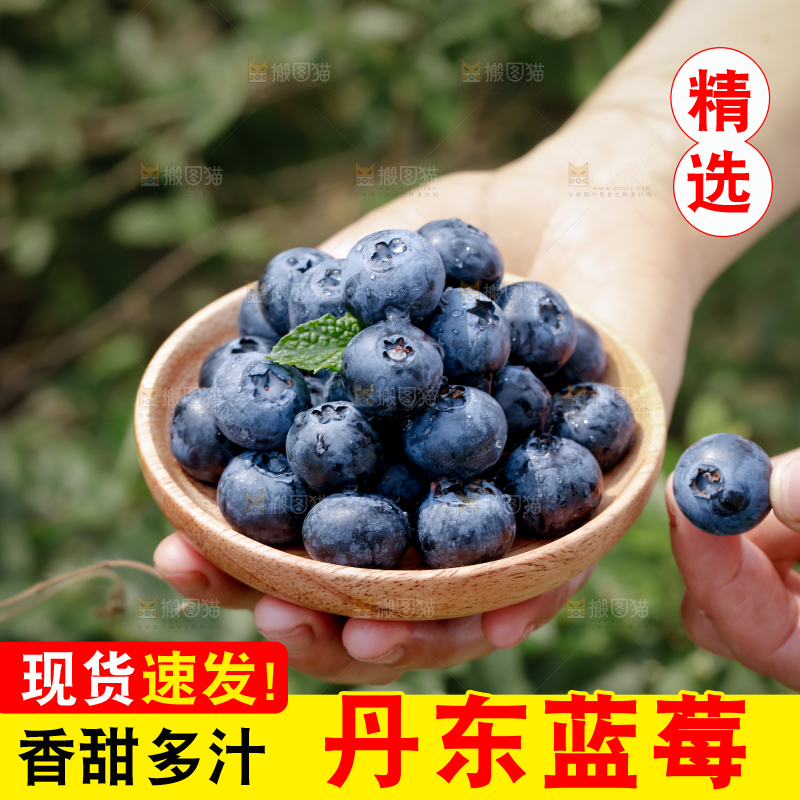 蓝莓