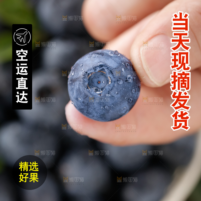 蓝莓