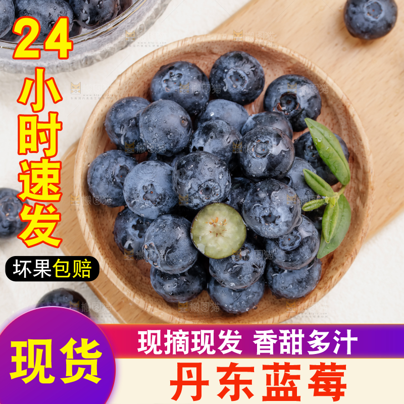 蓝莓