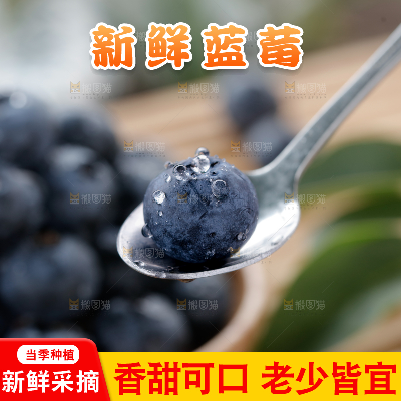 蓝莓