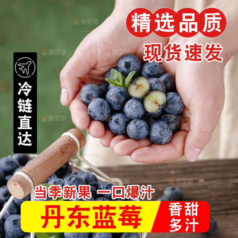 蓝莓