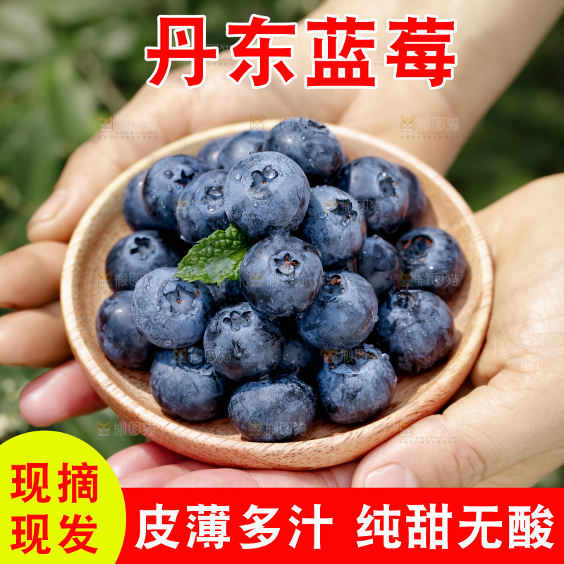 蓝莓