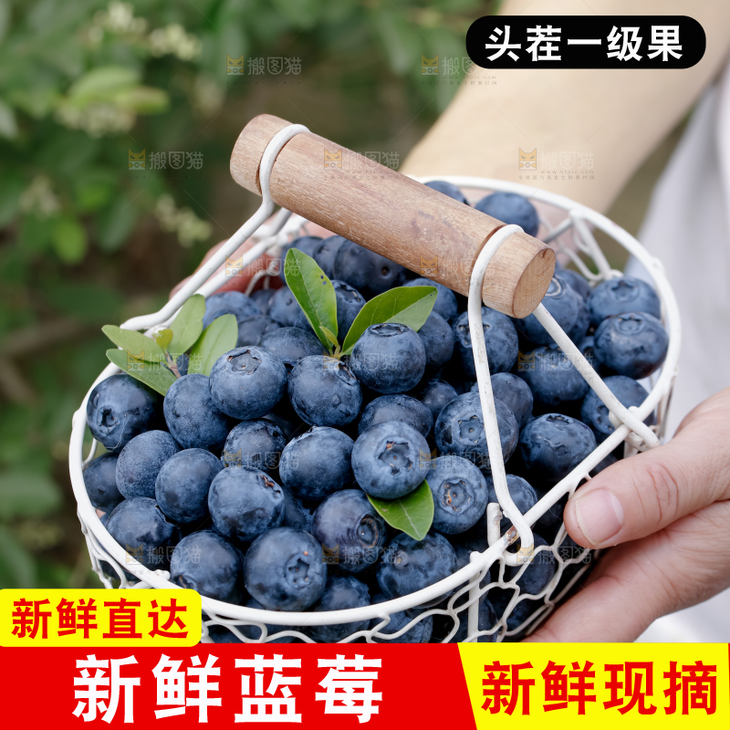 蓝莓