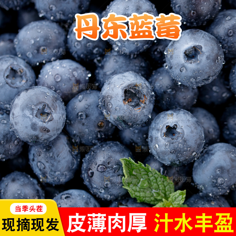 蓝莓
