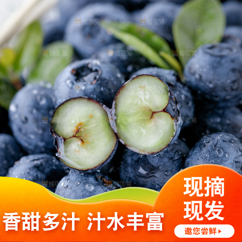 蓝莓