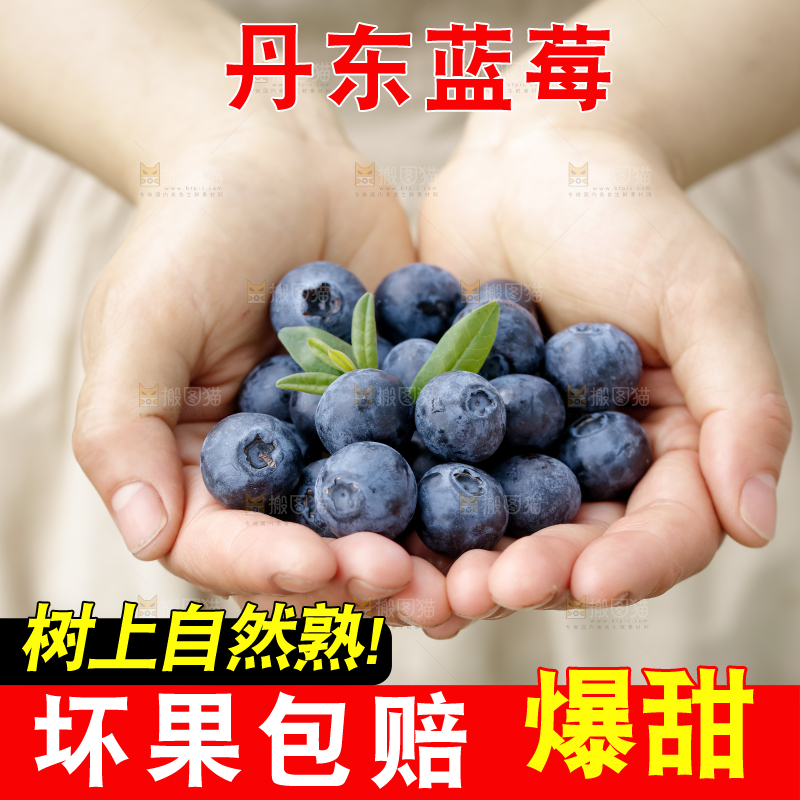 蓝莓