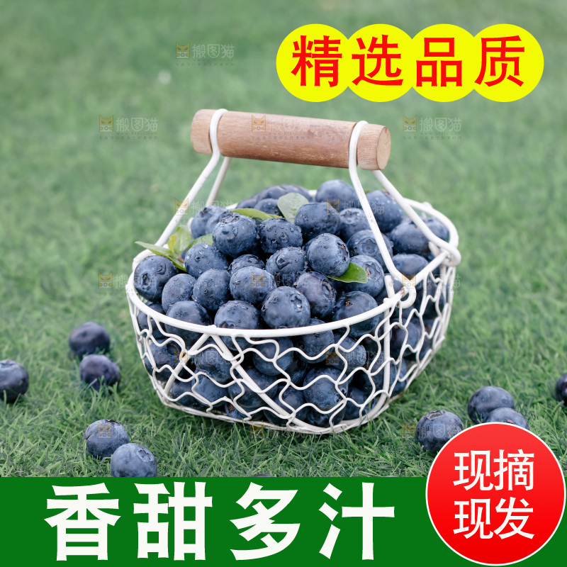 蓝莓