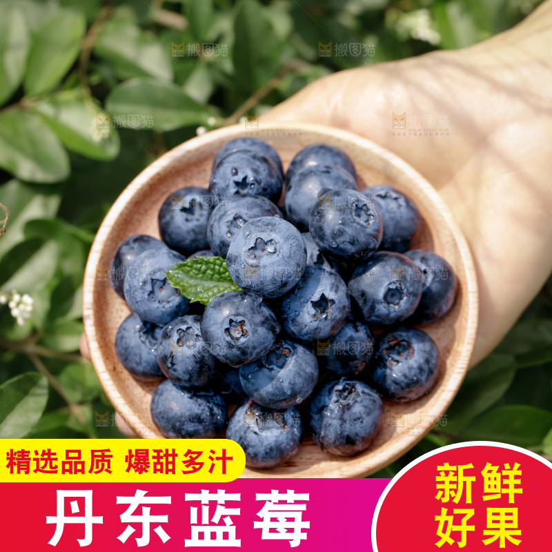 蓝莓