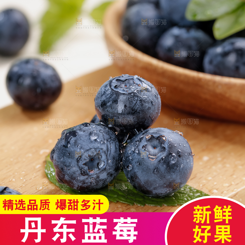 蓝莓
